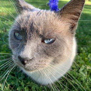 Meet your Posher, Jackie